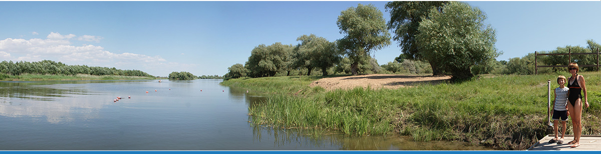 Фото Камышовый рай