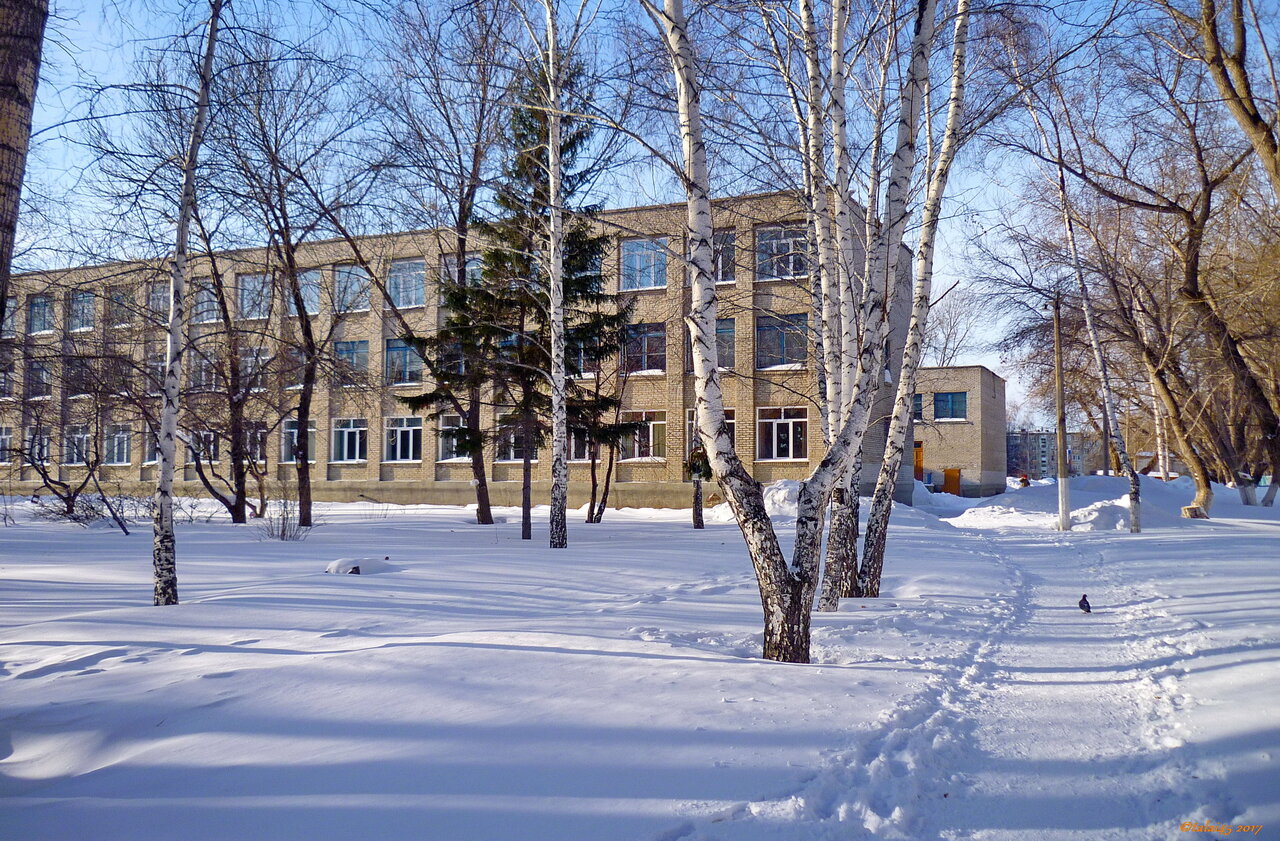 7 Школа рубцовск карта