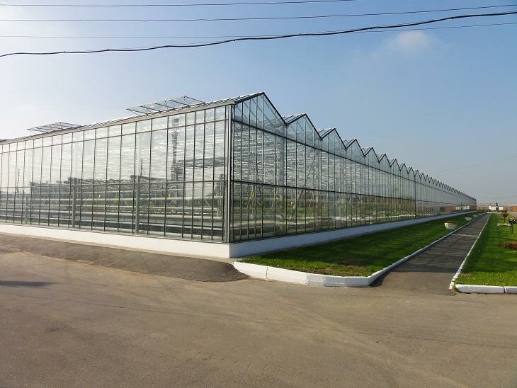 Агрокомбинат Горьковский Нижний Новгород Официальный Сайт Магазин