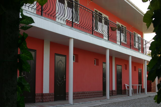 Фото Колибри