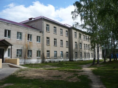 Специализированная больница Клетнянская Центральная Районная больница, Брянская область, фото