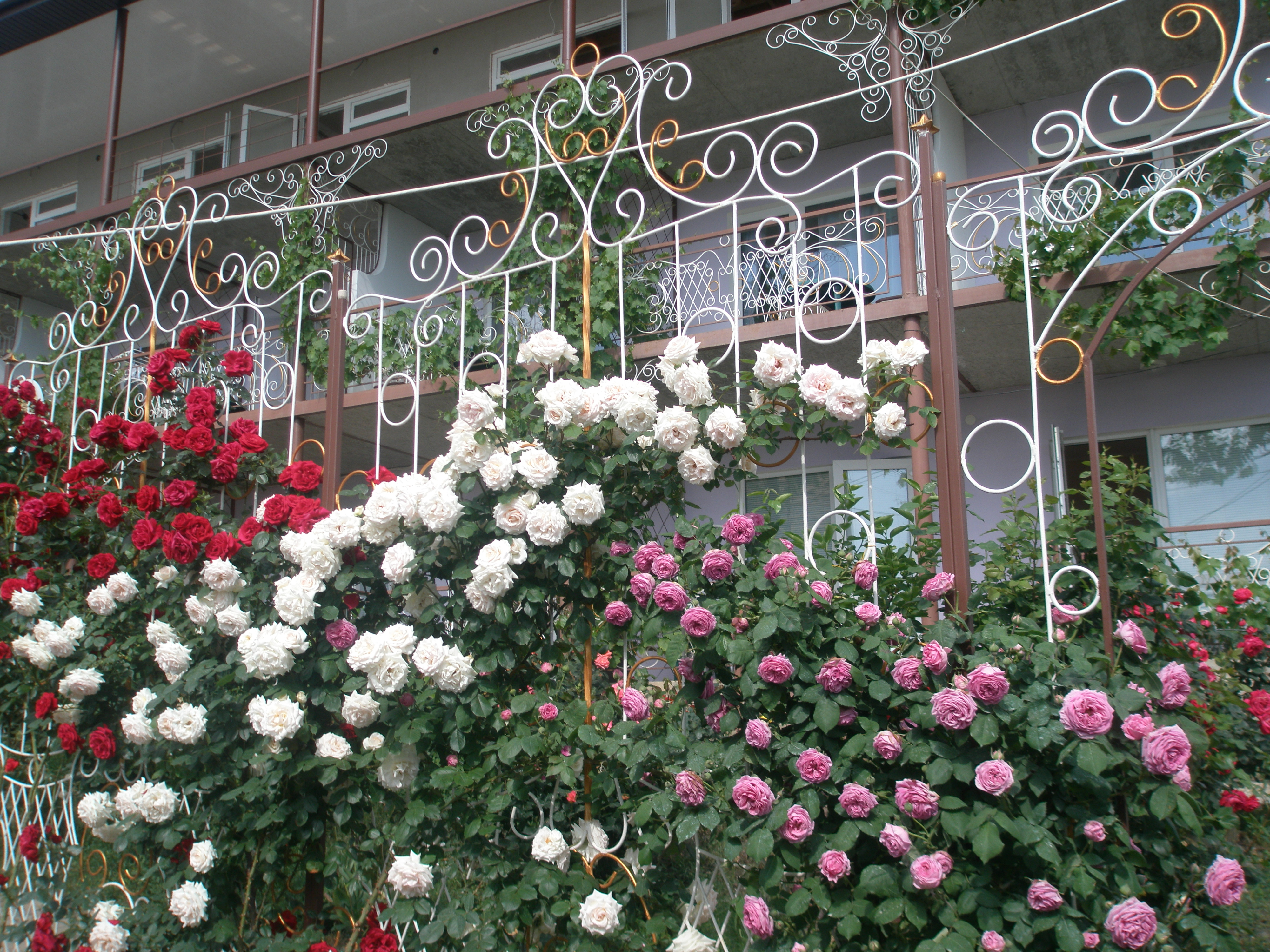 Фото Терем Ок