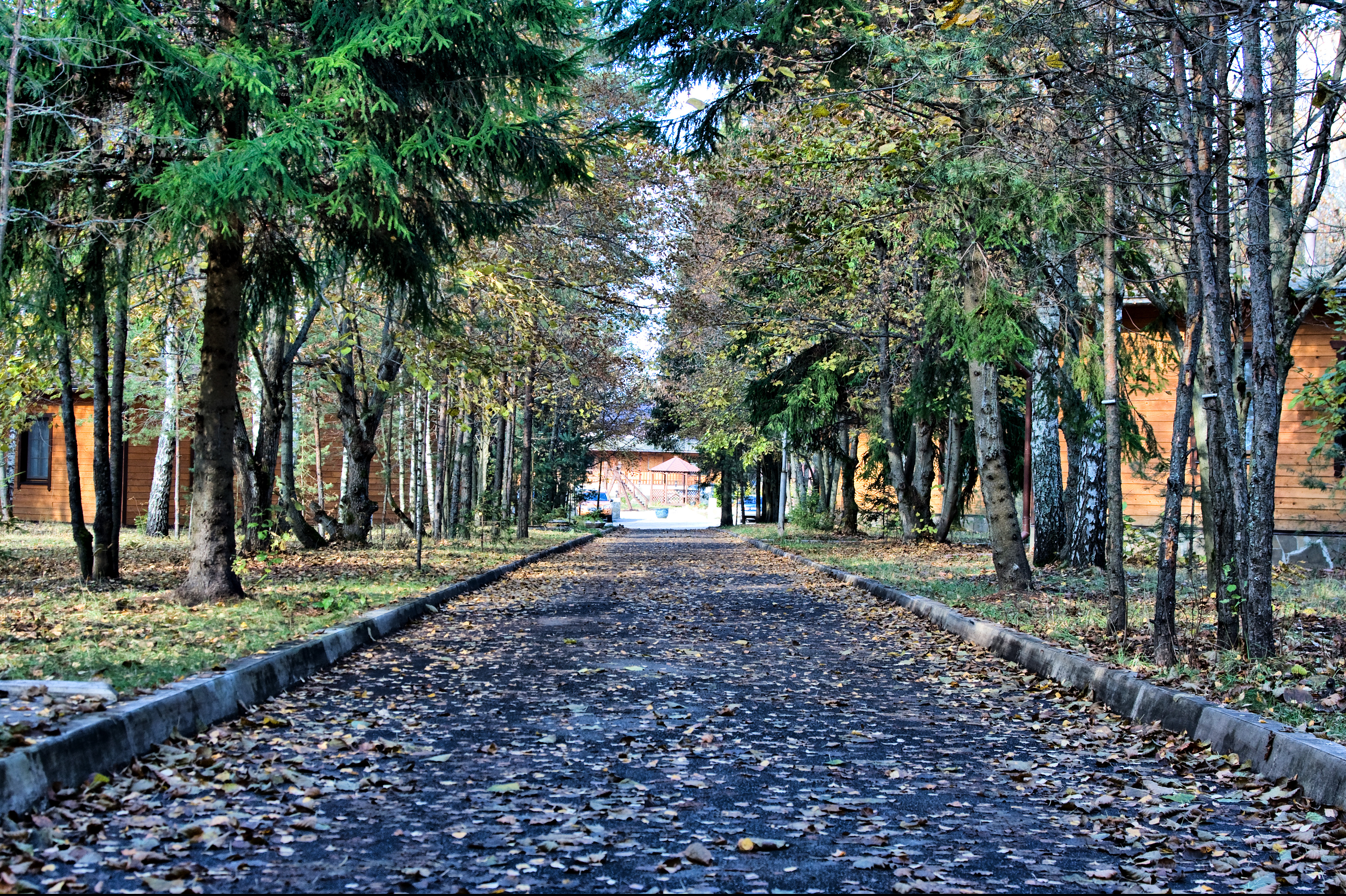 Фото Лесные пруды