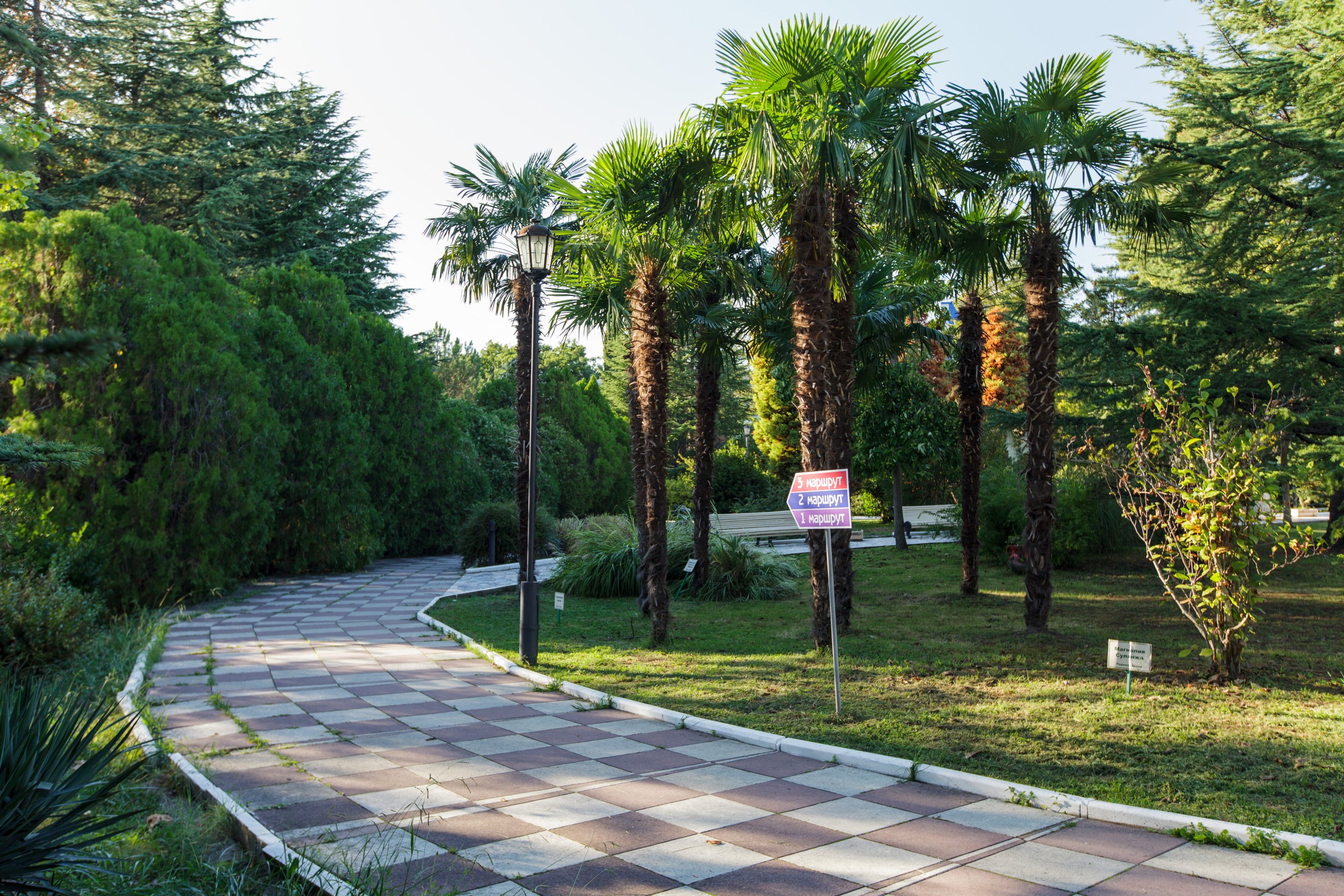 Фото Тихий Дон