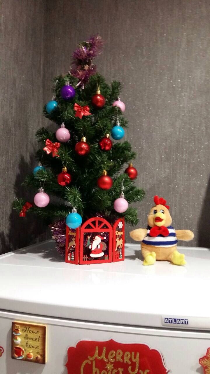 Фото Академия уюта