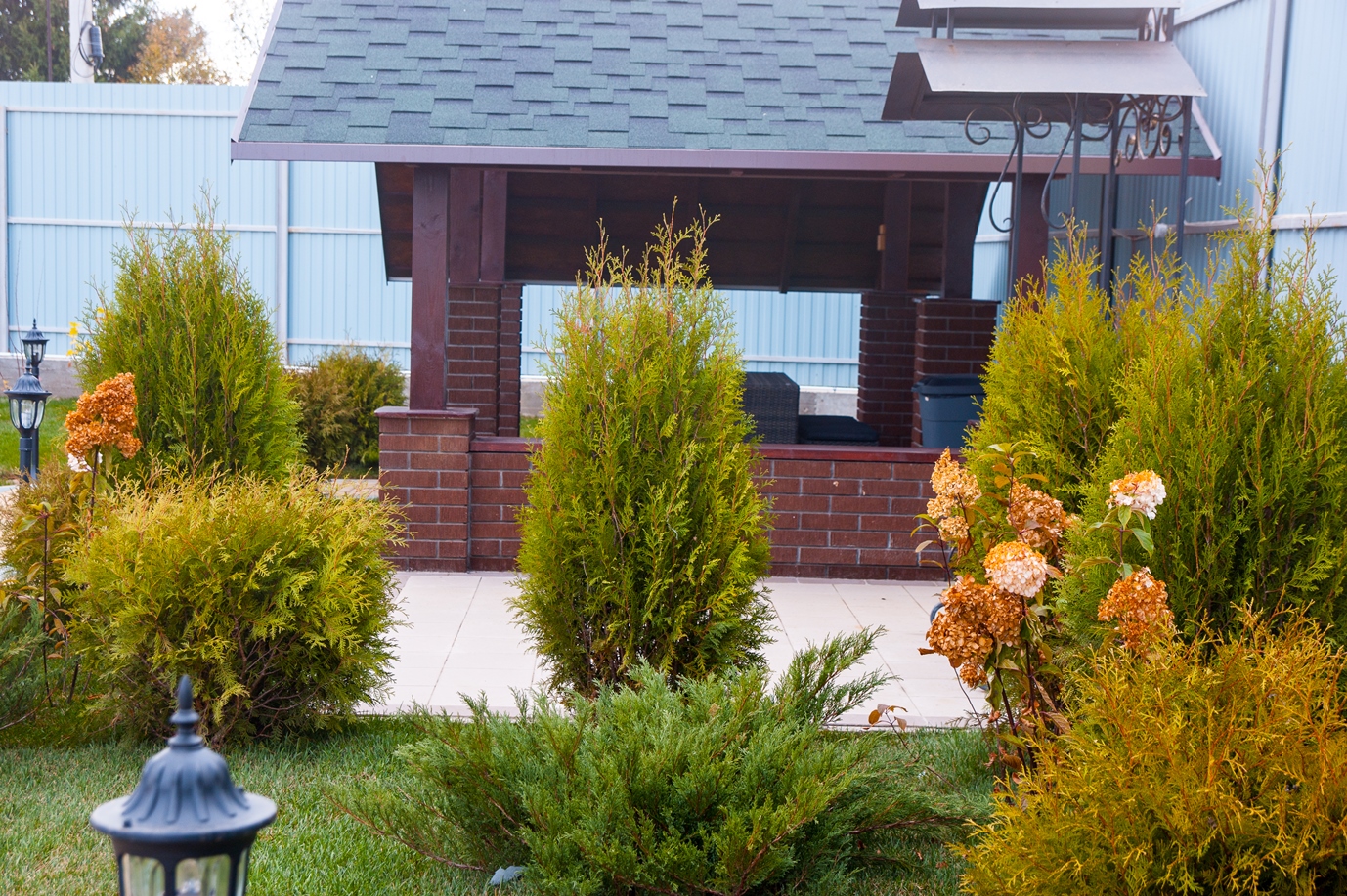 Фото Акварель