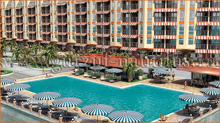 Фото Наутилус