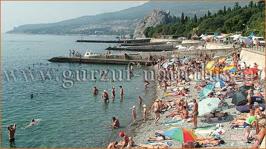 Фото Наутилус