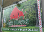 Dveri Belorussii (Myru Street, 38/4), puertas