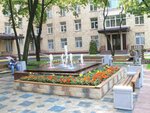 V.P. Demikhov City Clinical Hospital (Shkulyova Street, 4с1), hospital
