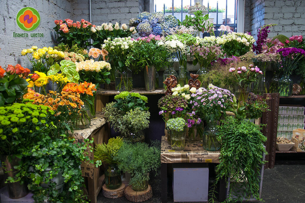 Flower shop Planeta Cvetov, Moscow, photo
