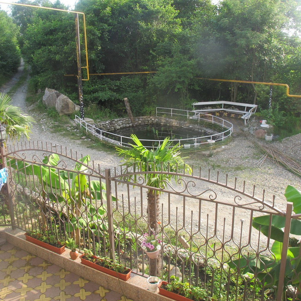 Фото Пани София