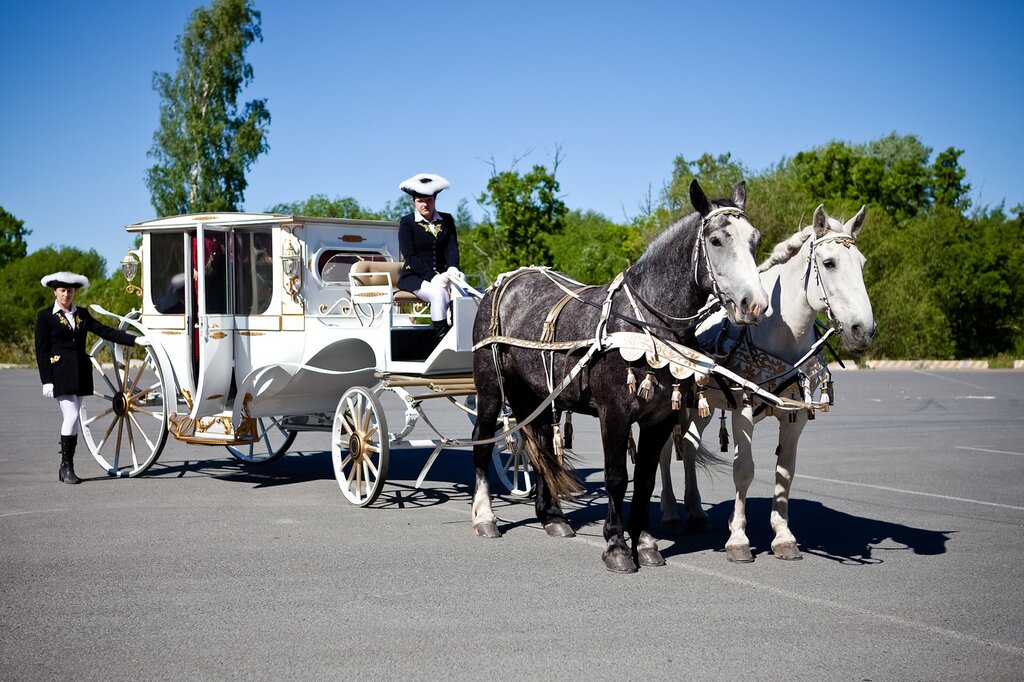 Horse riding Petergof, Saint‑Petersburg and Leningrad Oblast, photo