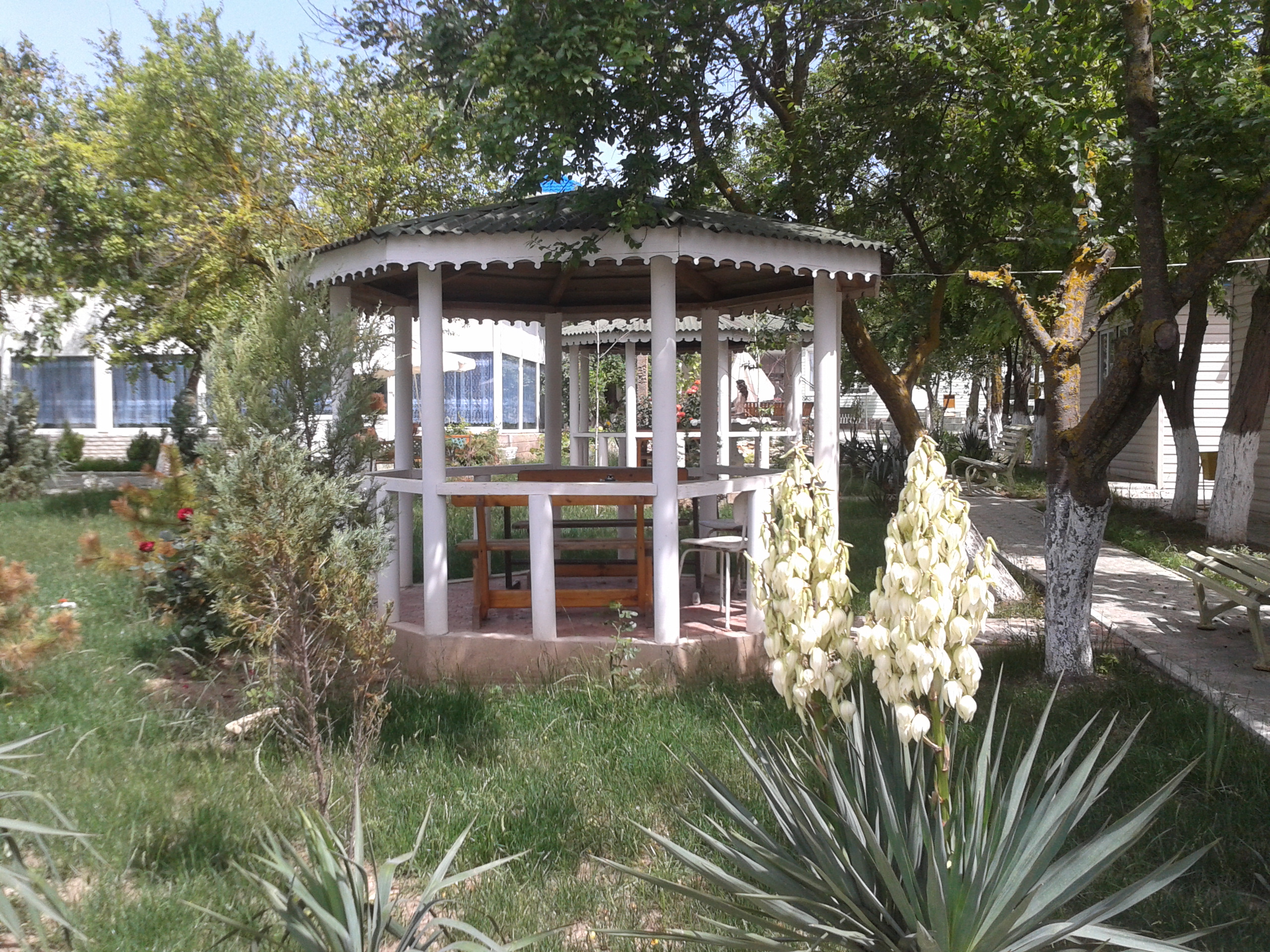 Фото Дружба