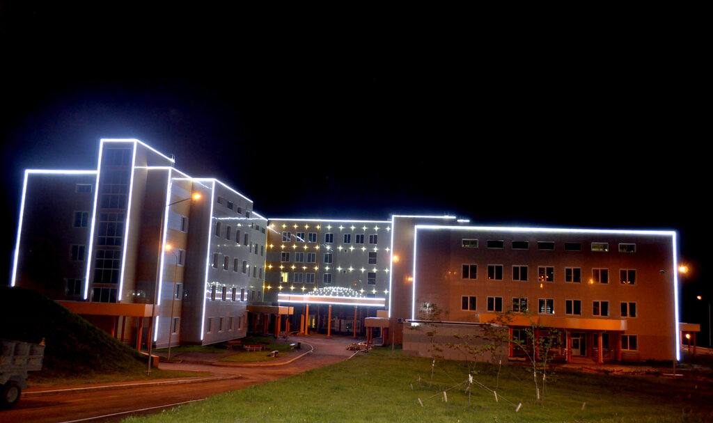 مركز طبي لمرحلة ما قبل الولادة Primorsky Regional Perinatal Center ، فلاديفوستوك، صورة