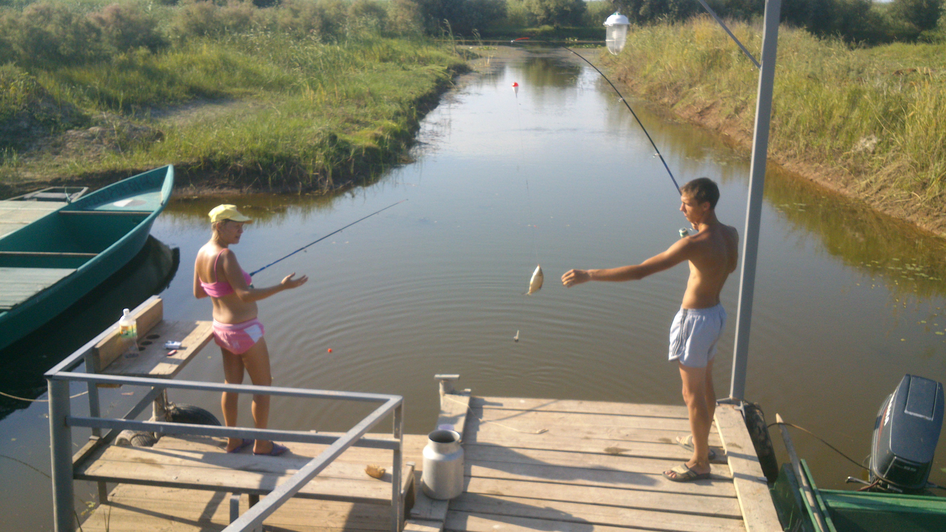 Фото Дельта