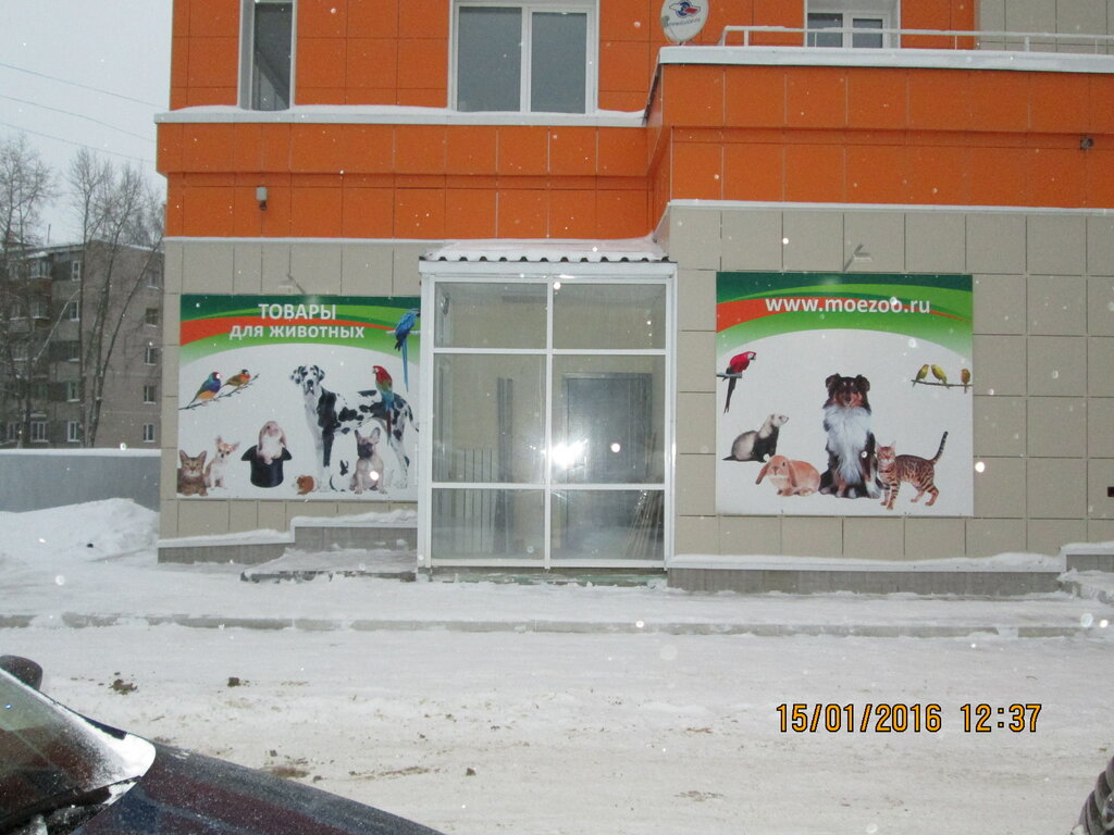 Сыктывкар Октябрьский Проспект Магазины