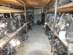 Avtorazborka (Polaсk, mikrorayon Borovukha-3, ulitsa Vologina, 75/3), car disassembly