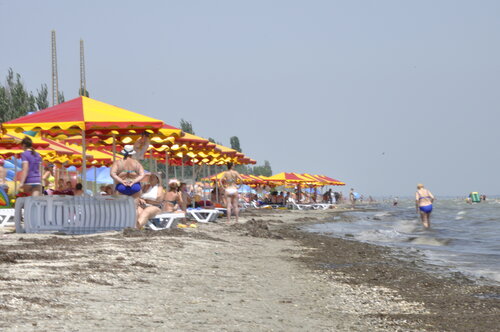 Бүгін жалаңаш қыздар