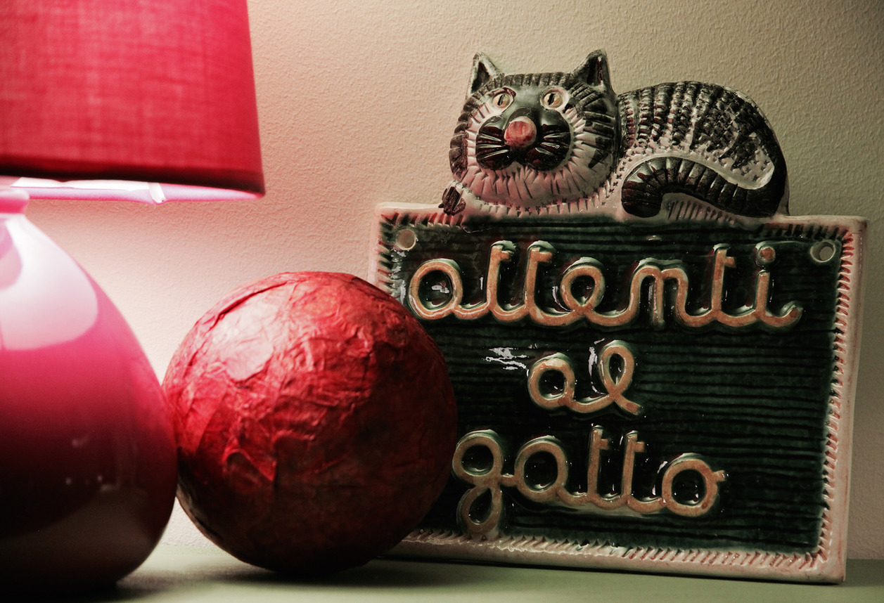 Котокафе Котиссимо фото 15