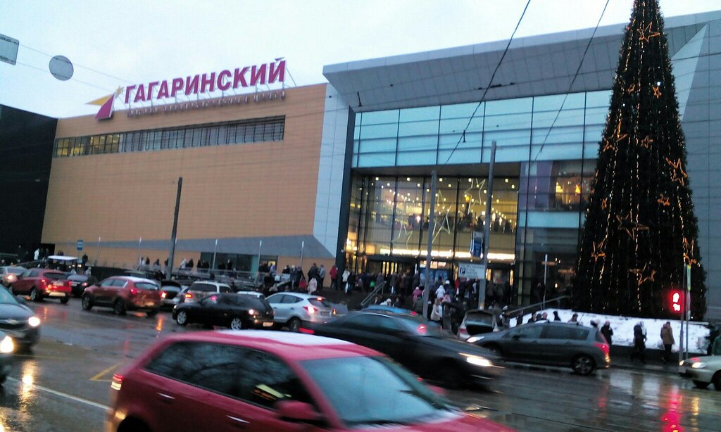Гагаринский москва