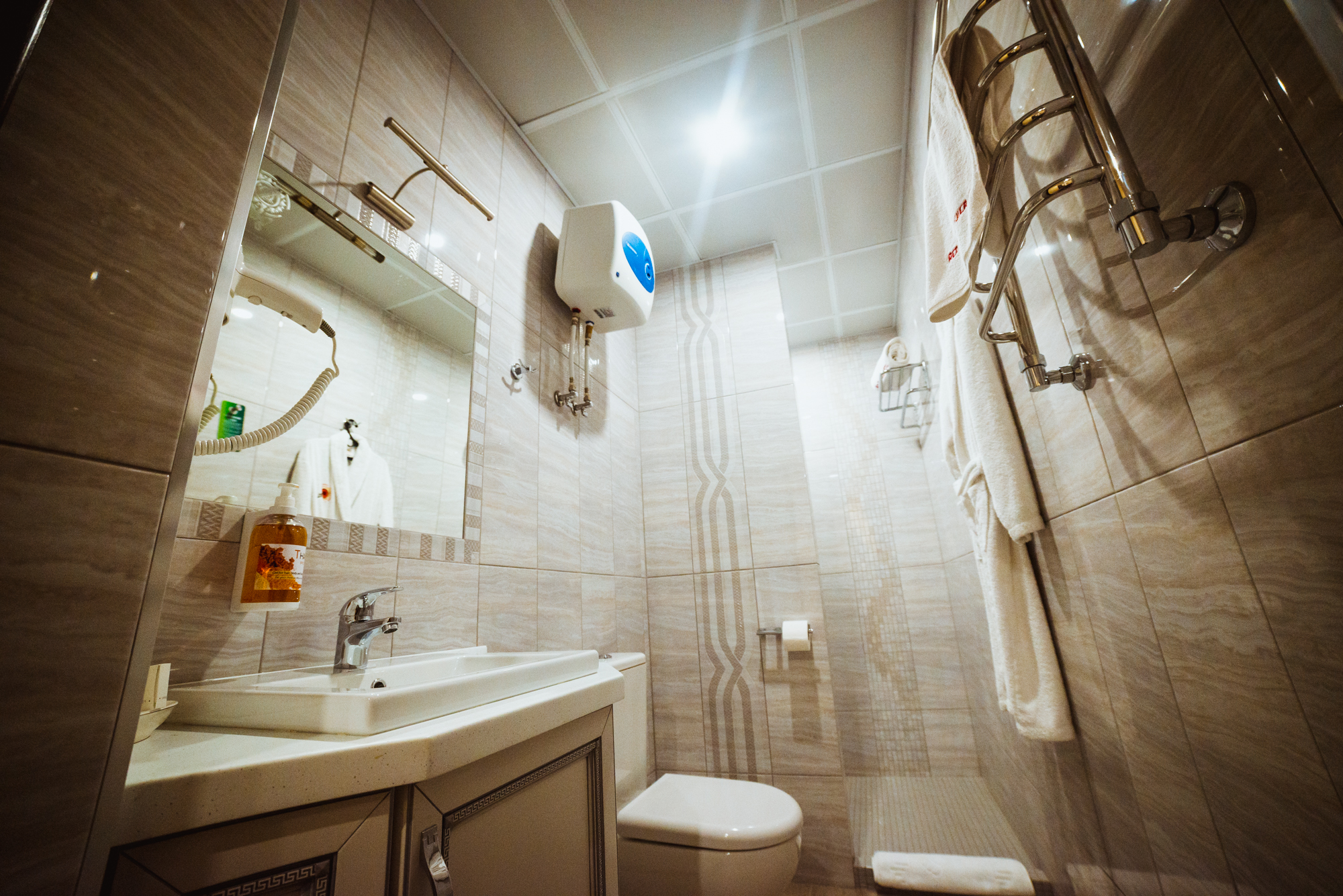 Фото Красный Подсолнух