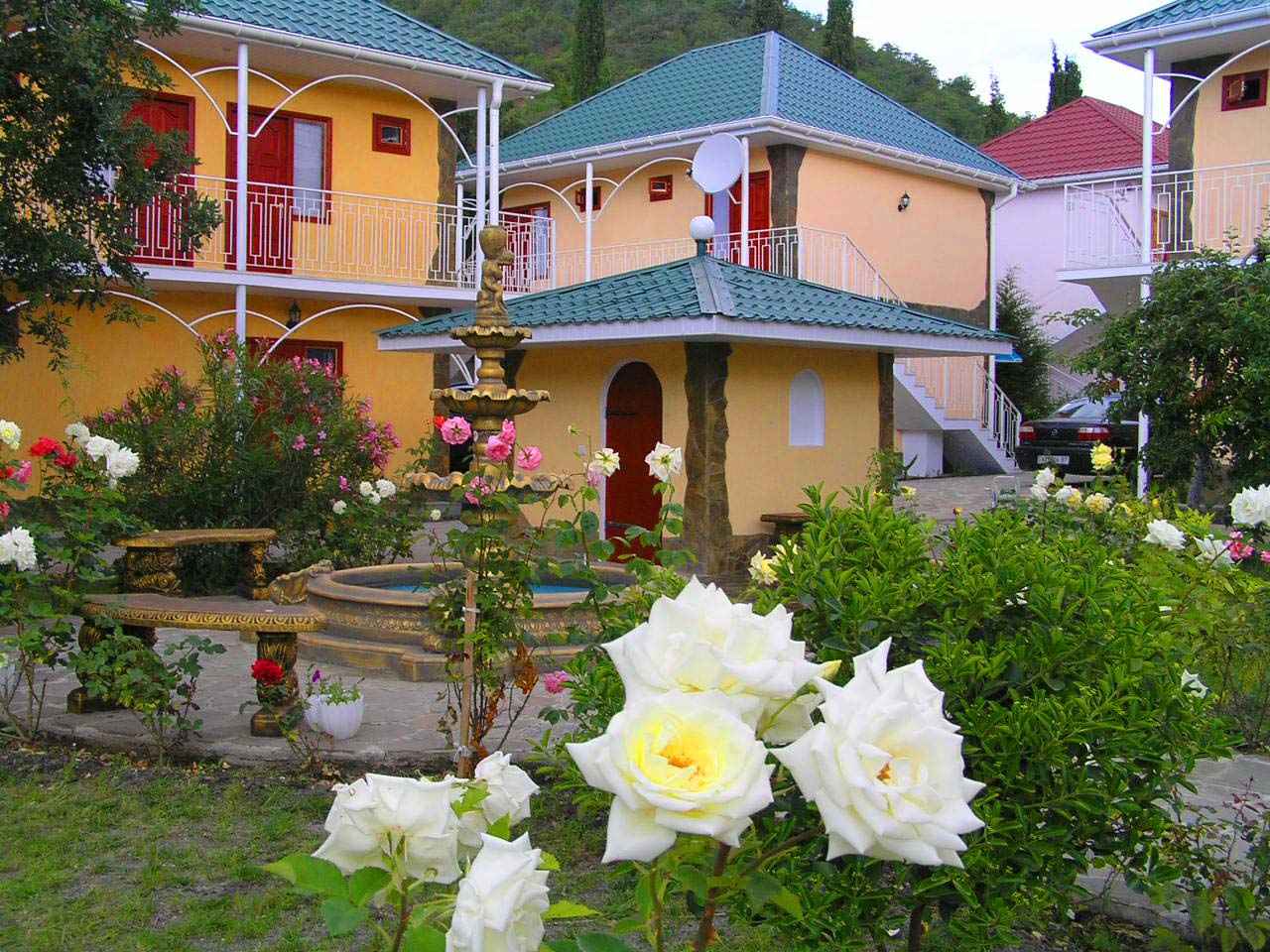 Фото Пансионат Орхидея