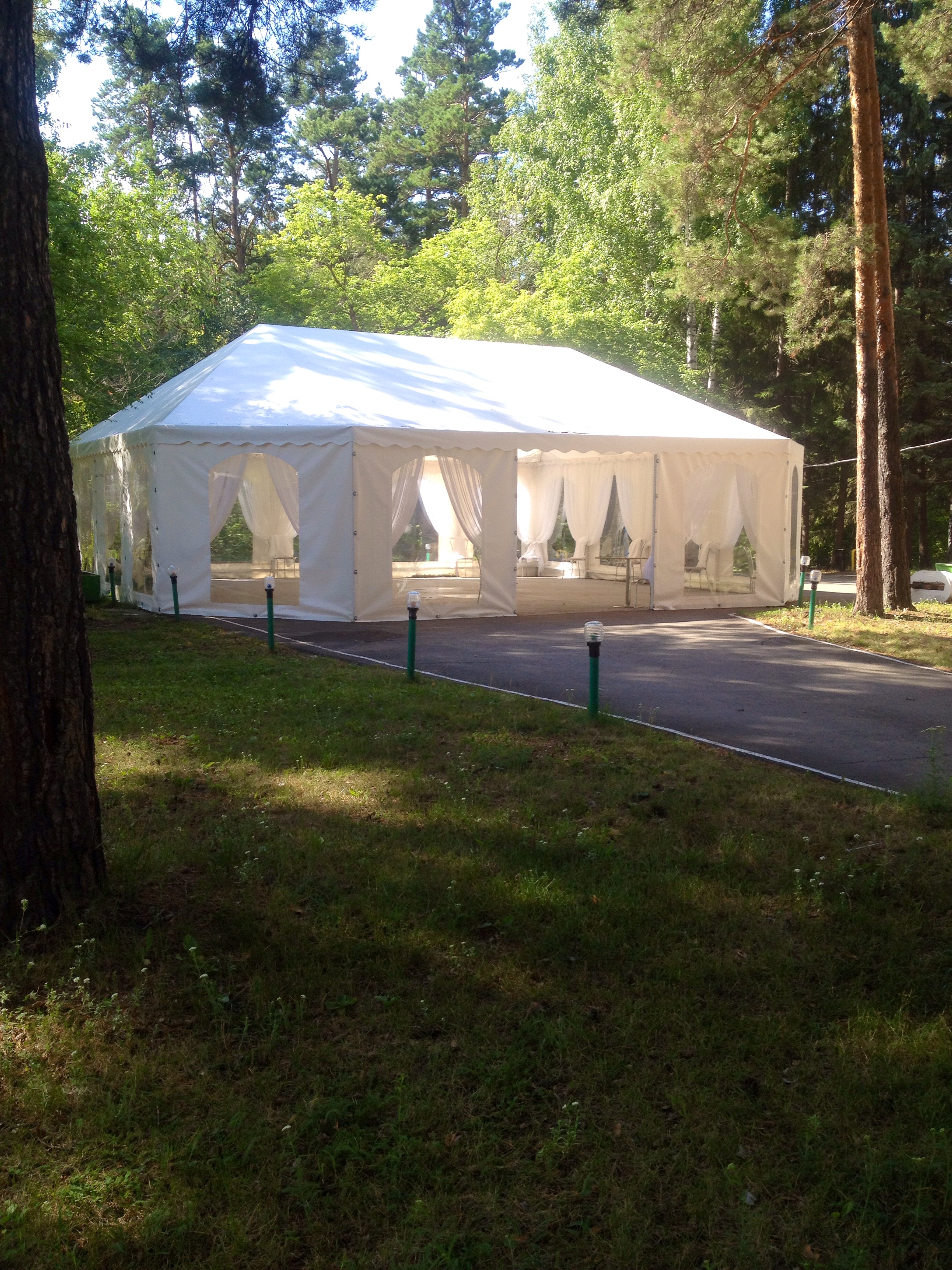 Фото Лесные дали