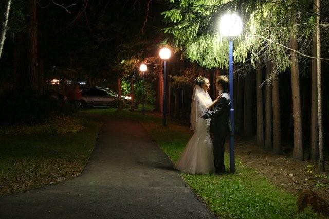 Фото Лесные дали