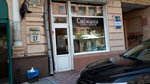 Parikmakherskaya Snezhana (Saksahanskoho Street, 27А) ، مصففو الشعر