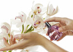 Promparfum (Загородня вулиця, 51) ، متجر بيع العطور ومستحضرات التجميل