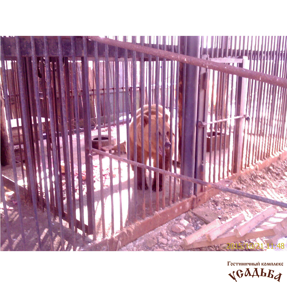 Фото Усадьба