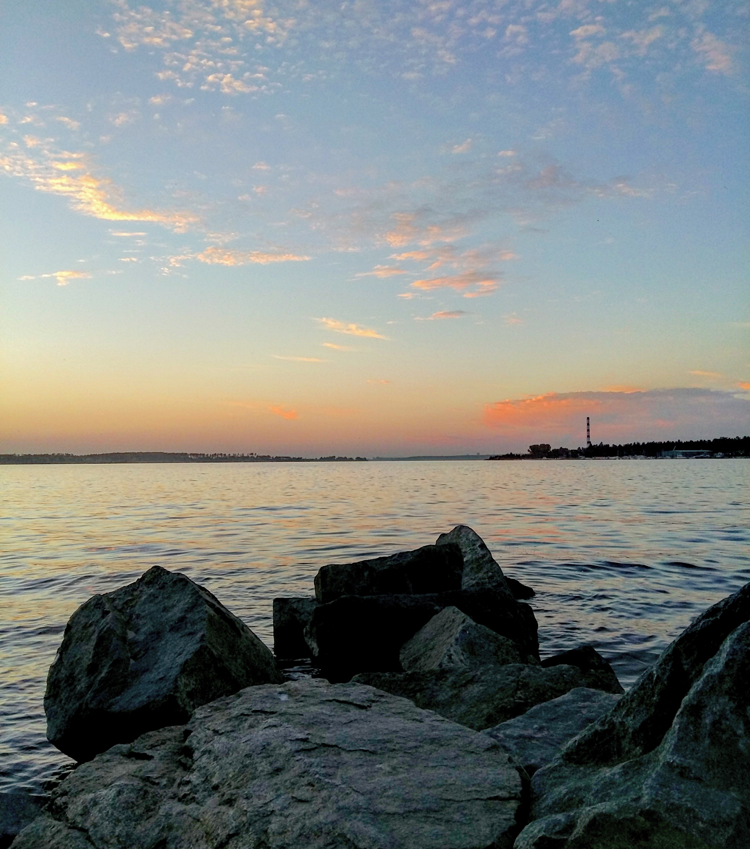 Фото Лесная сказка