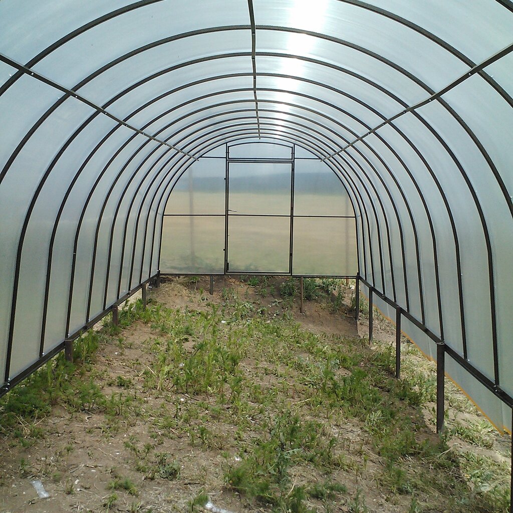 Дом в теплице россия