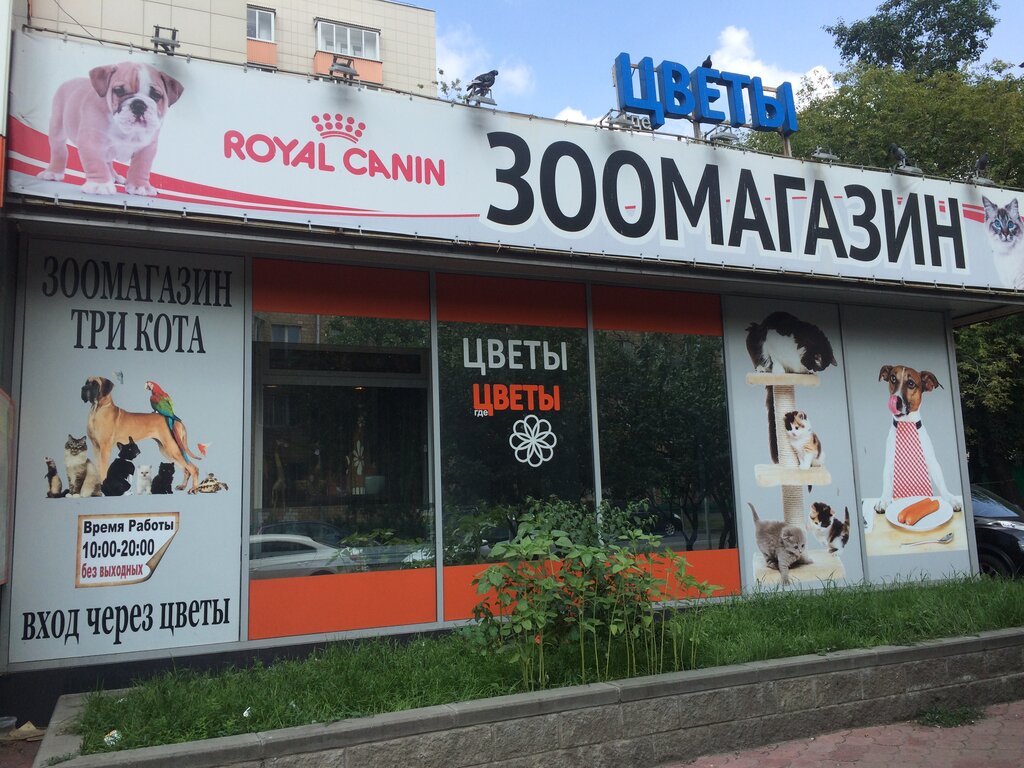 Три кота московская ул 44 2 фото