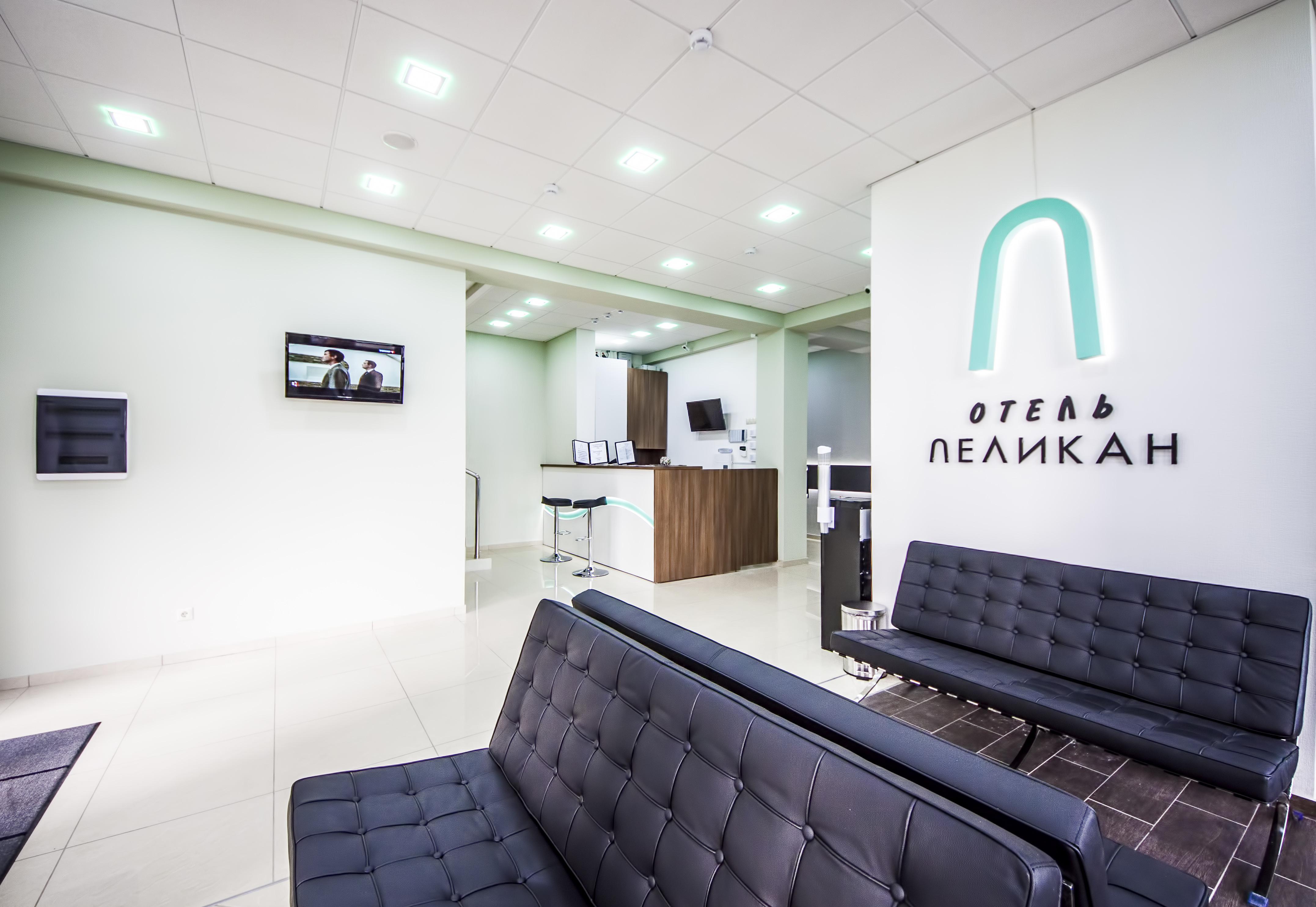 Фото Пеликан