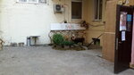 Studiya krasoty N-Style (Pushkinska Street, 21) ، صالون تجميل