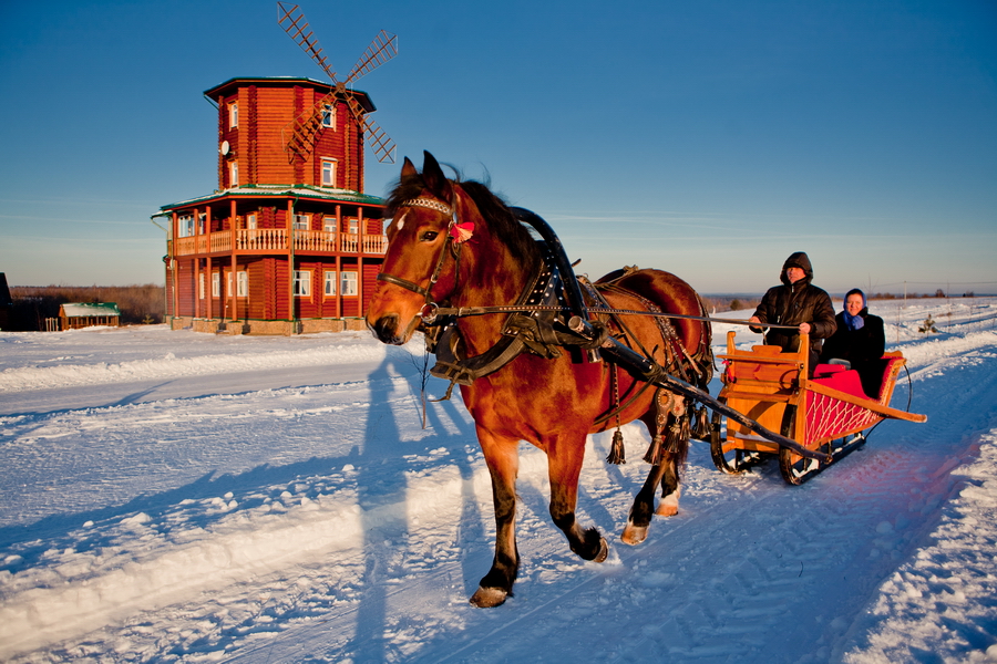 Фото Веслево клуб