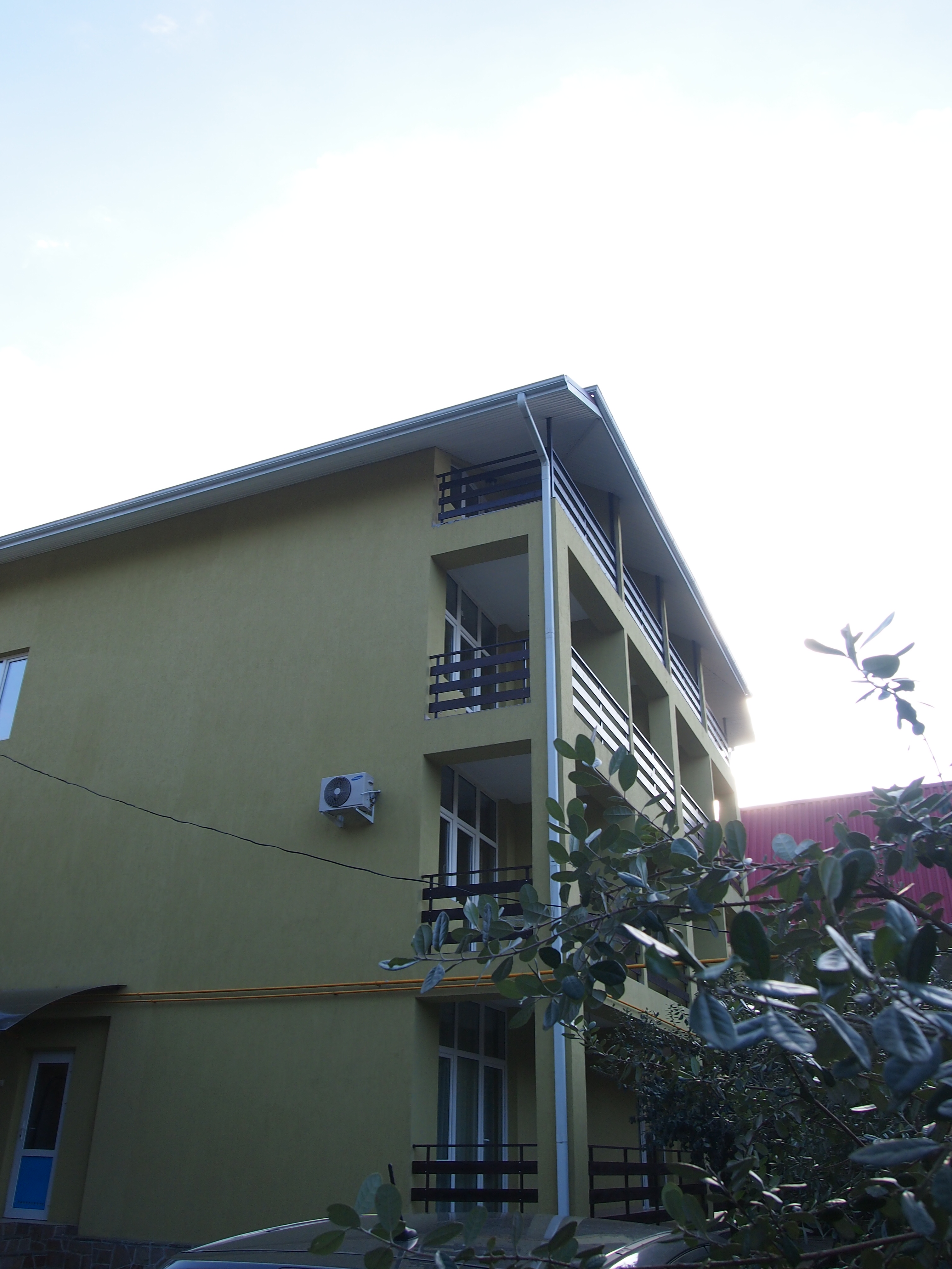 Фото Орхидея