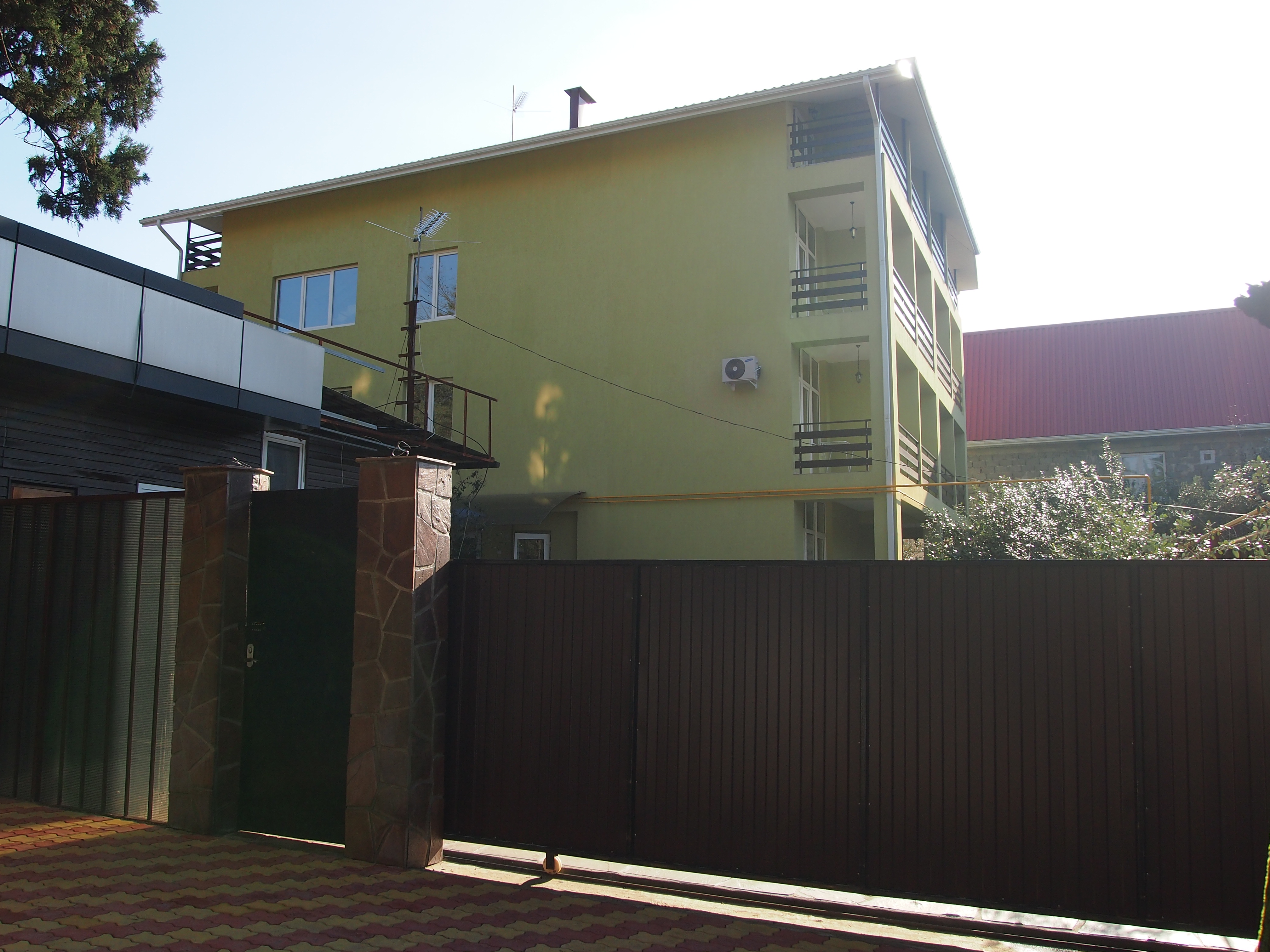 Фото Орхидея