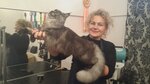 Pet & Vet (Zhukova Street, 12), pet salon