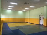 Sports school Vodnik (Tolstogo Street, 4), sports school