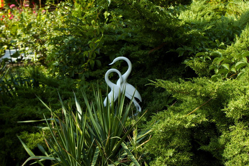 Фото Пансионат Радуга