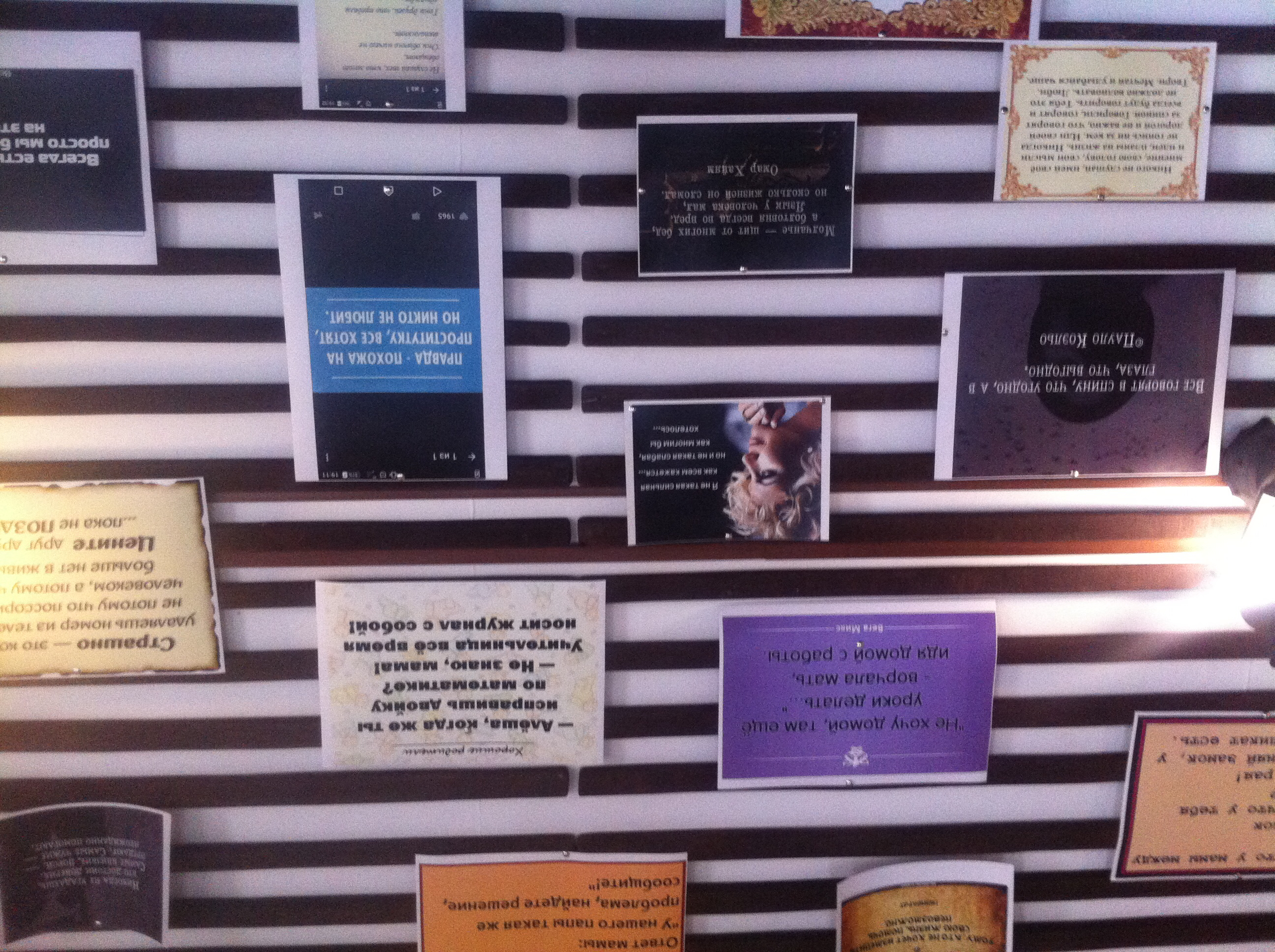 Фото Понаехали