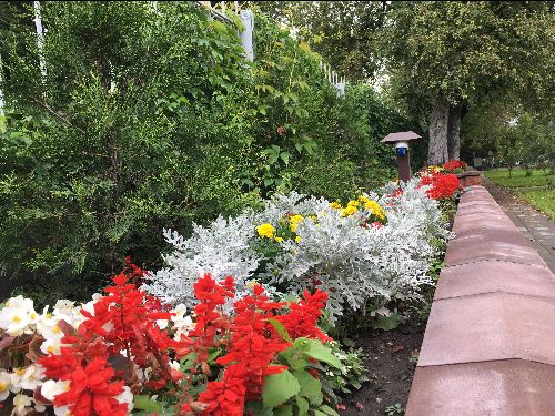 Фото Кемпинг у Кремля