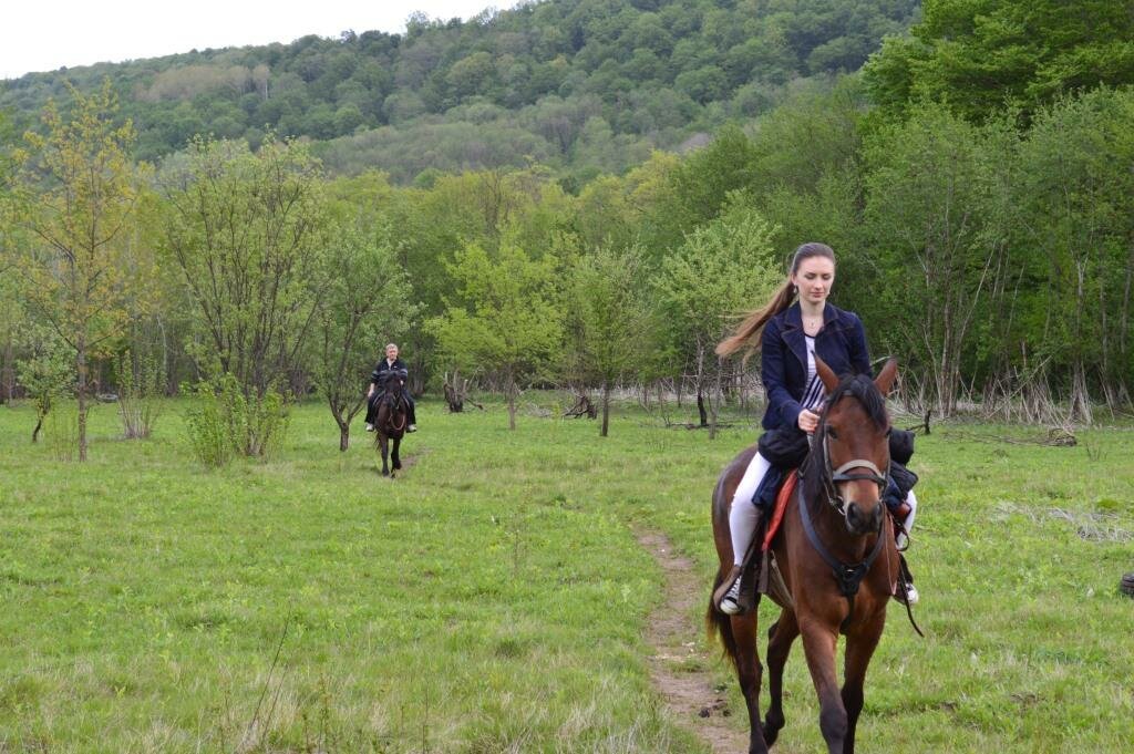 Horse riding Konnyye progulki Guamka, Krasnodar Krai, photo