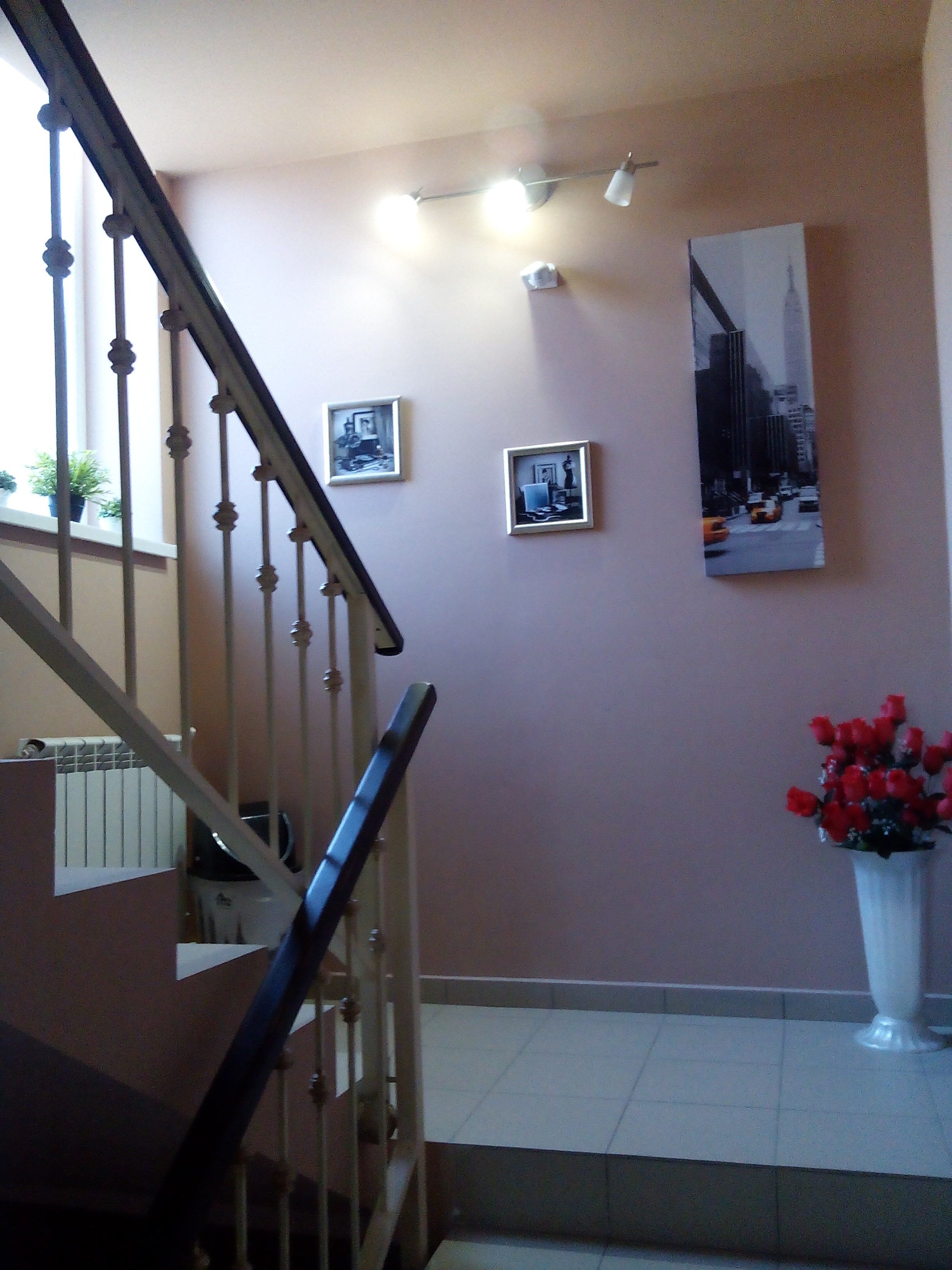 Фото Абрикос