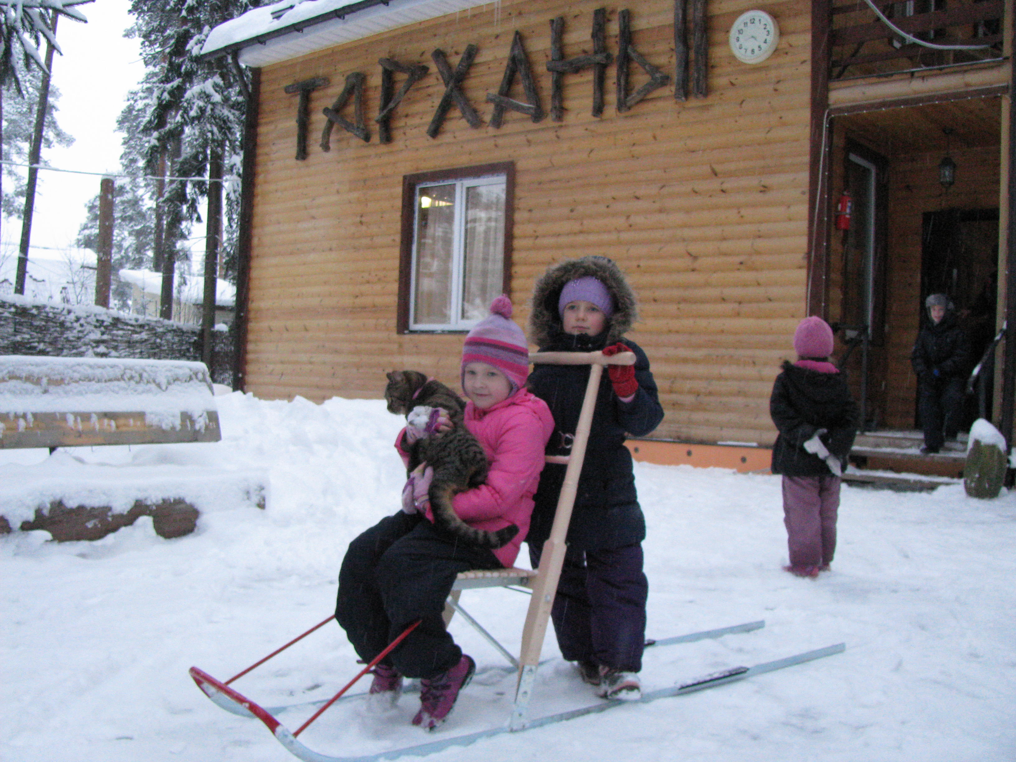 Фото Вырицкие Тарханы