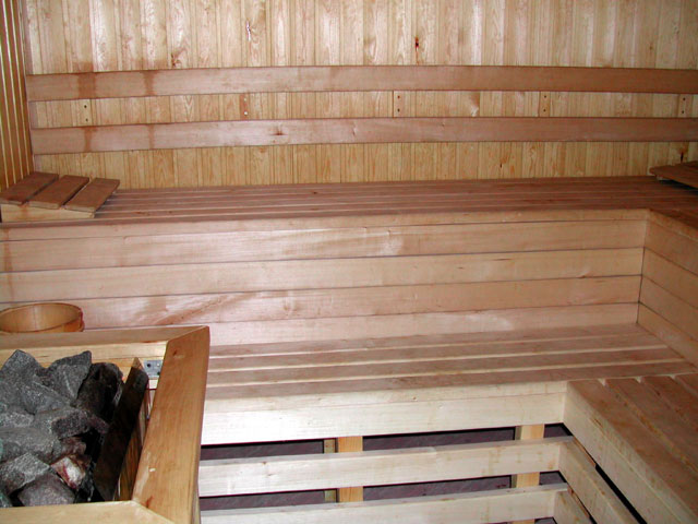 Фото Черепаха