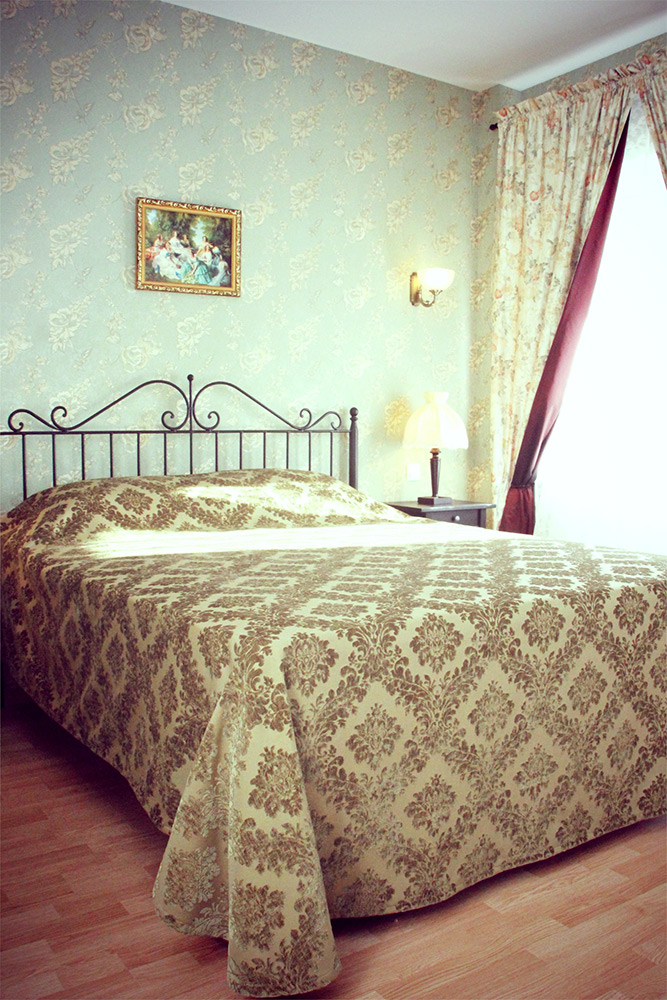 Фото Абрикос